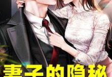妻子的隐秘(韩江)全章小说阅读-红妆文学