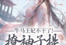牛马王妃不干了！撩袖子提和离独美（萧北策云初七）小说推荐牛马王妃不干了！撩袖子提和离独美全章小说阅读-红妆文学