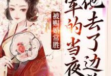(全文)被赐婚常胜将军的当夜,他去了边关青妩燕昭最新完结小说被赐婚常胜将军的当夜,他去了边关免费小说全本-红妆文学