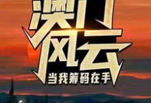 王东曼丽澳门风云:当我筹码在手全本免费在线阅读-红妆文学