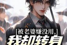 (全文)被老婆嫌没用，我却转身成了首富！唐仁林紫嫣全本免费在线阅读-红妆文学