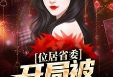 位居省委,开局被妻子举报(苏玉黎锦)小说推荐位居省委,开局被妻子举报全章小说阅读-红妆文学