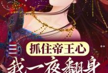 (全文)抓住帝王心，我一夜翻身成宠妃热门小说排行榜，抓住帝王心，我一夜翻身成宠妃萧煜沈芙全章小说阅读-红妆文学