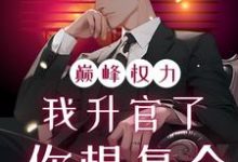 巅峰权力：我升官了你想复合最新章节阅读巅峰权力：我升官了你想复合(林磊)试读更新章节-红妆文学