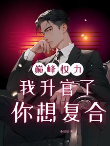 (全文)巅峰权力：我升官了你想复合完结小说推荐林磊全本书籍阅读