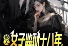 被关女子监狱十八年，出狱即无敌（林枫）全章小说阅读-红妆文学