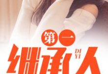 第一继承人(徐飞)全本书籍阅读第一继承人完整版小说-红妆文学