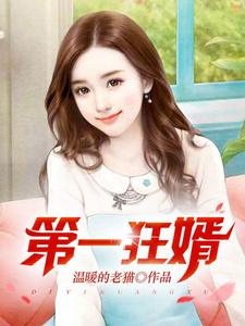 (全文)第一狂婿(林枫)全本免费在线阅读