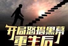 开局怒揭黑幕，重生后整顿官场最新完结小说开局怒揭黑幕，重生后整顿官场陈知行免费小说-红妆文学