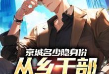 (全文)京城名少隐身份，从乡干部开始逆袭谢斌裴靖泽完结小说推荐京城名少隐身份，从乡干部开始逆袭试读更新章节-红妆文学