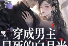 (全文)穿成男主早死的白月光？我不干了完结小说推荐谢观砚林茉全本书籍阅读-红妆文学