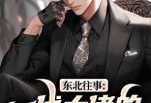 王晨马三东北往事：一代大佬的成功之路全本免费在线阅读-红妆文学