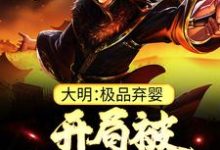 大明：极品弃婴，开局被老朱捡回家推荐完结小说，大明：极品弃婴，开局被老朱捡回家朱炫免费小说全本-红妆文学