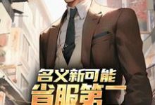 名义新可能：省服第二能否逆转大局最新章节阅读名义新可能：省服第二能否逆转大局(萧承李妙灵)试读更新章节-红妆文学