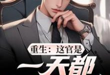 重生:这官是一天都不想当了梁惟石唐欣怡试读更新章节重生:这官是一天都不想当了梁惟石唐欣怡免费小说-红妆文学