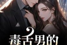 (全文)毒舌男的温柔攻势盛京御宋听晚全本免费在线阅读-红妆文学