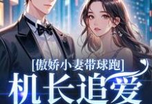 傲娇小妻带球跑,机长追爱不停歇完整版小说傲娇小妻带球跑,机长追爱不停歇(顾予琛徐歆薇)全章小说阅读-红妆文学