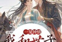 (全文)一见钟情，我和世子天生一对沈如风苏云锦最新完结小说一见钟情，我和世子天生一对免费小说全本-红妆文学