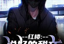 (全文)红楼：说好的甜文咋变恐怖文了齐洛最新完结小说红楼：说好的甜文咋变恐怖文了免费阅读-红妆文学