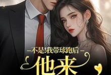 不是！我带球跑后他来强娶豪夺周静书傅聿呈完结小说推荐，不是！我带球跑后他来强娶豪夺全章小说阅读-红妆文学