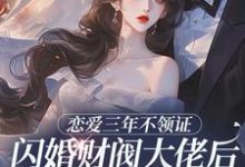 (全文)恋爱三年不领证，闪婚财阀大佬后他急疯苏婠周衍焱全本免费在线阅读-红妆文学