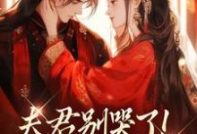 (全文)夫君别哭了！我来替你虐渣（沈婉宁韩云泽）免费小说夫君别哭了！我来替你虐渣试读更新章节-红妆文学
