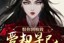 苏婉江忱序恨你到极致，爱却早已深入骨髓全本免费在线阅读-红妆文学