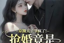 京圈太子爷疯了！抢婚竟是蓄谋已久完整版小说，京圈太子爷疯了！抢婚竟是蓄谋已久陆妄辞虞晚颜试读更新章节-红妆文学