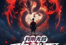 我刚无敌，你就要跟我退婚？苏阳完结小说推荐，我刚无敌，你就要跟我退婚？全章小说阅读-红妆文学