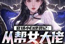 官场小白逆袭记:从帮女大佬开始推荐完结小说官场小白逆袭记:从帮女大佬开始(唐诚李文静)免费小说全本-红妆文学