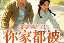 (全文)婆婆别虐了！你家都被偷光了（苏圆圆陆正安）免费小说婆婆别虐了！你家都被偷光了试读更新章节-红妆文学