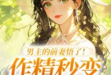 男主的前妻悟了！作精秒变粘人精（许岁宁霍青山）全章小说阅读-红妆文学
