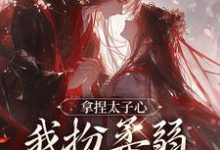 沈春颐商鹤亦拿捏太子心，我扮柔弱他就认错！全本免费在线阅读-红妆文学