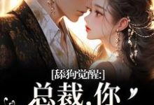 舔狗觉醒：总裁，你只是个替身许瑾禾裴景之免费小说舔狗觉醒：总裁，你只是个替身推荐完结小说-红妆文学
