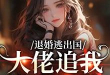 (全文)退婚逃出国,大佬追我满世界跑(江野崎楚灵兮)全本免费在线阅读-红妆文学