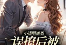 (全文)小透明逆袭许惟昭方肃礼最新完结小说小透明逆袭免费小说全本-红妆文学