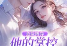 危险博弈：他的掌控与她的反杀（叶时欢）全本书籍阅读危险博弈：他的掌控与她的反杀完整版小说-红妆文学