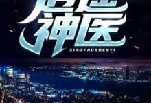 逍遥神医（陈九阳）小说推荐逍遥神医全章小说阅读-红妆文学
