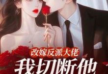 改嫁反派大佬，我切断他黑化根源！江知微萧著免费小说改嫁反派大佬，我切断他黑化根源！推荐完结小说-红妆文学