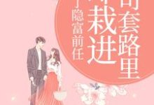甩了隐富前任,却栽进上司套路里林昭陆景淮完结小说推荐,甩了隐富前任,却栽进上司套路里全章小说阅读-红妆文学