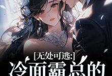 无处可逃：冷面霸总的专宠小娇妻傅周烬苏挽挽免费小说无处可逃：冷面霸总的专宠小娇妻推荐完结小说-红妆文学