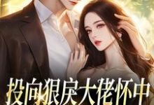 投向狠戾大佬怀中，娇娇诱他上瘾推荐完结小说，投向狠戾大佬怀中，娇娇诱他上瘾薄京慈姜柠免费小说全本-红妆文学