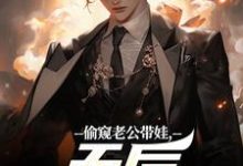 (全文)偷窥老公带娃,天后坐不住了陆辰全本免费在线阅读-红妆文学
