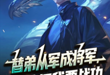 替弟从军成将军，归来问我要战功叶临渊免费小说替弟从军成将军，归来问我要战功推荐完结小说-红妆文学