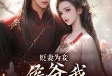 (全文)贬妻为妾，侯爷我不伺候啦完结小说推荐慎如余启全本书籍阅读-红妆文学