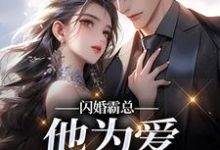 闪婚霸总,他为爱抛弃一切(苏绿柔厉墨焱)小说推荐闪婚霸总,他为爱抛弃一切全章小说阅读-红妆文学