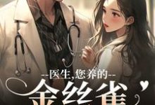 医生，您养的金丝雀要飞走了苏慕春丁嘉朗热门小说排行榜医生，您养的金丝雀要飞走了免费小说-红妆文学