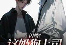 闪婚？这奶狗上司真难缠推荐完结小说闪婚？这奶狗上司真难缠(赵芜鱼邓北辰)免费小说全本-红妆文学