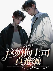 闪婚？这奶狗上司真难缠推荐完结小说闪婚？这奶狗上司真难缠(赵芜鱼邓北辰)免费小说全本