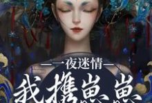 一夜迷情，我携崽崽俘获他（云素予段凌霁）小说推荐一夜迷情，我携崽崽俘获他全章小说阅读-红妆文学
